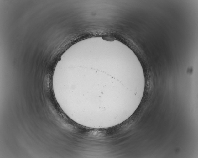 X0000114540117200911301211