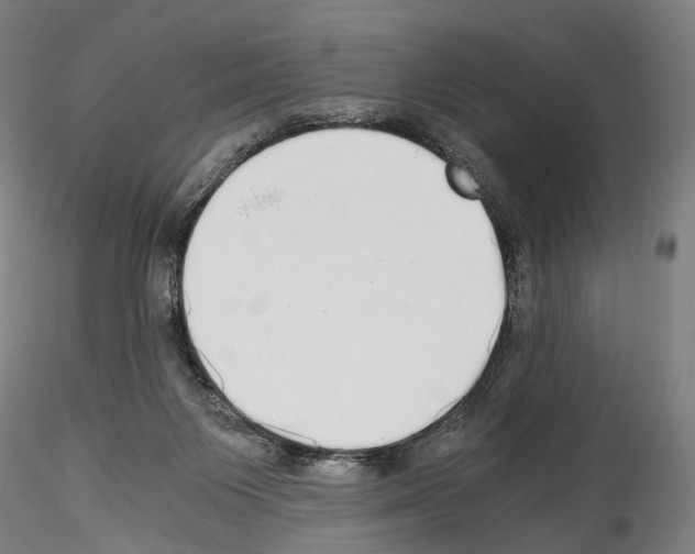 X0000114540119200911301211