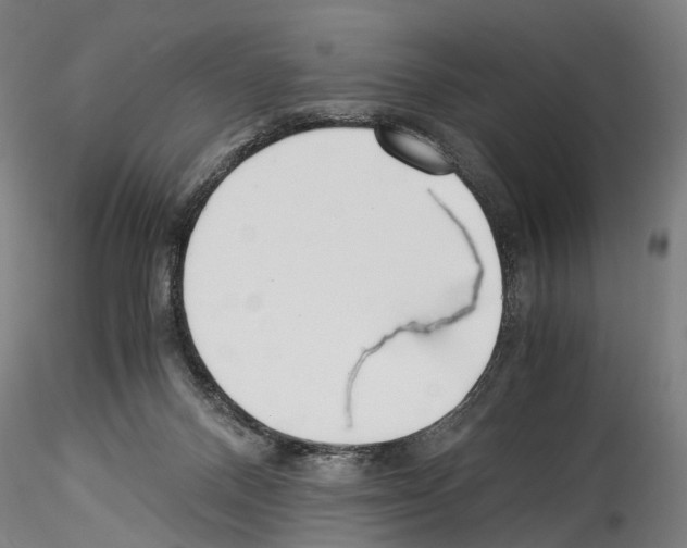 X0000114540120200911301211