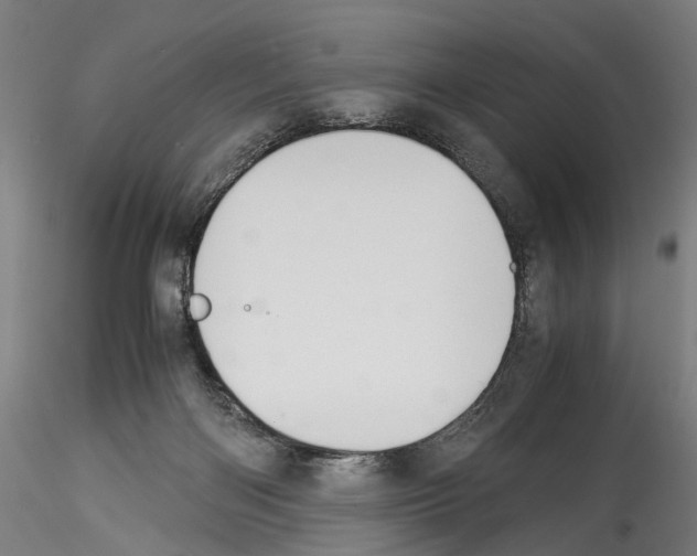 X0000114540122200911301211