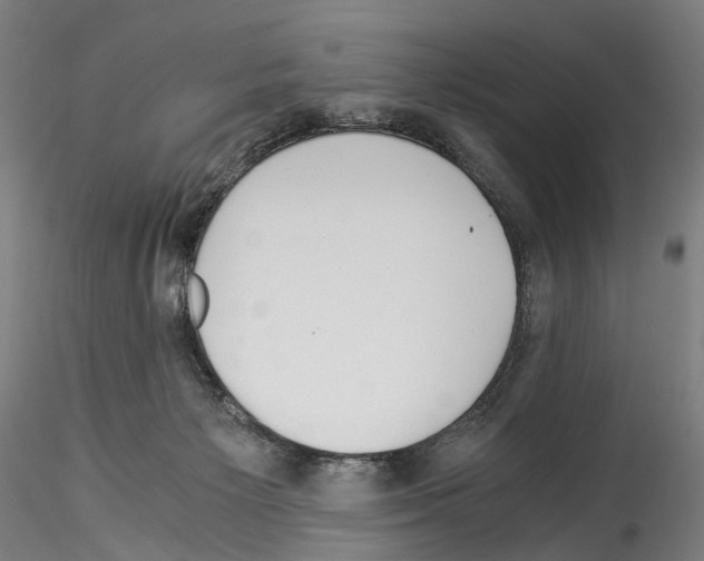 X0000114540125200911301211