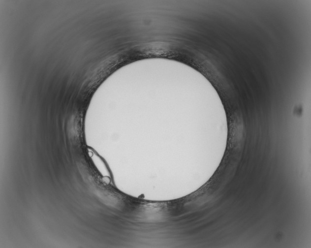 X0000114540126200911301210