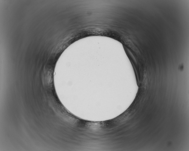 X0000114540131200911301210