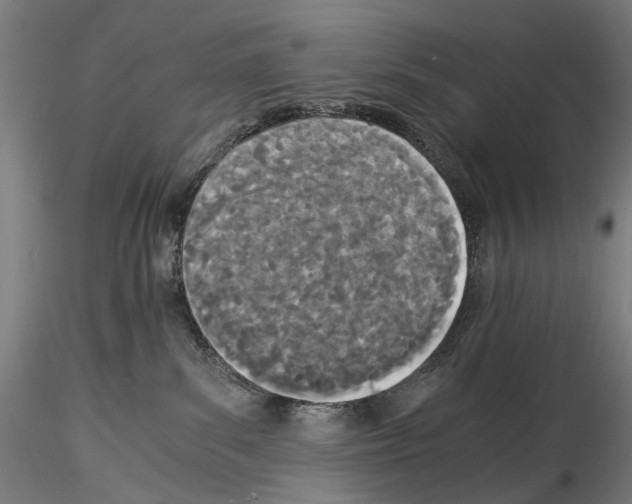 X0000114540139200911301210