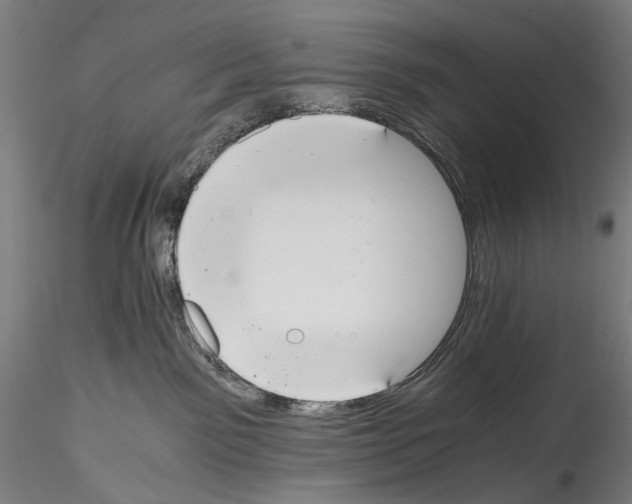 X0000114540141200911301210