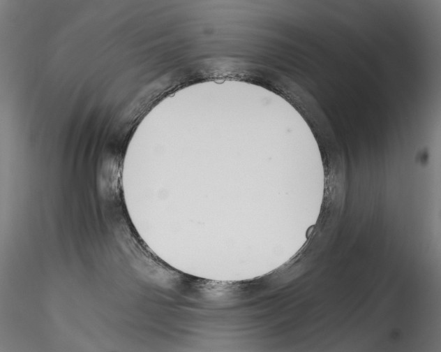 X0000114540142200911301210