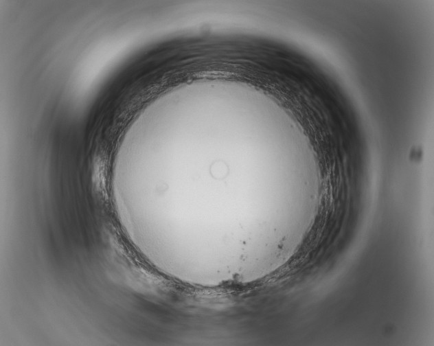 X0000114540146200911301210