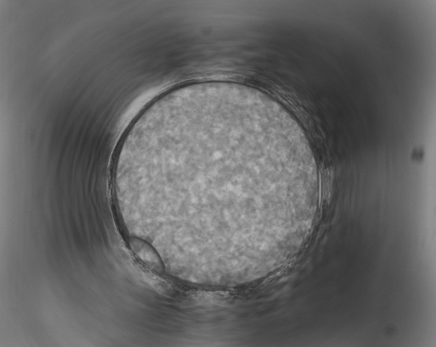 X0000114540147200911301210