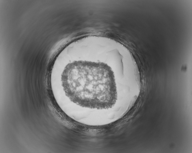 X0000114540149200911301210