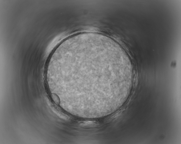 X0000114540151200911301210