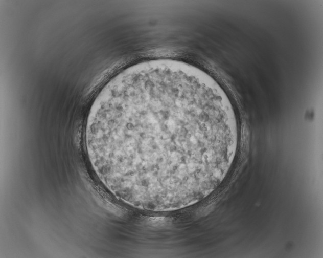 X0000114540153200911301210