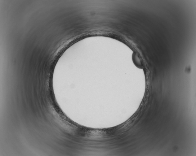 X0000114540154200911301210