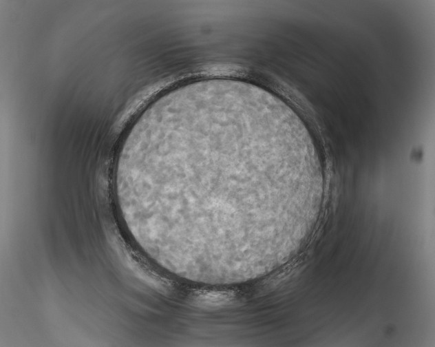 X0000114540155200911301210