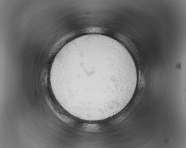 X0000114540157200911301210