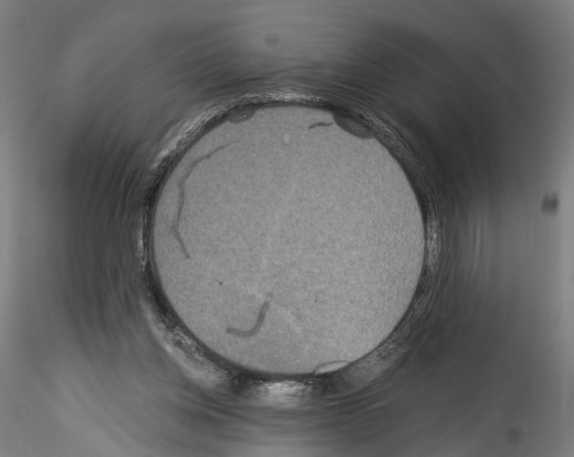 X0000114540158200911301210