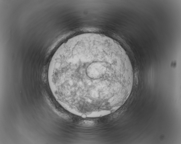 X0000114540159200911301210