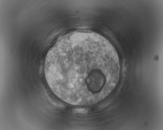 X0000114540161200911301210