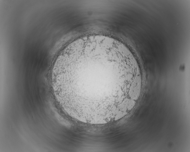 X0000114540162200911301210