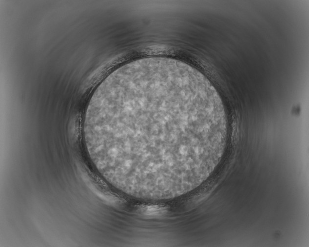 X0000114540165200911301210