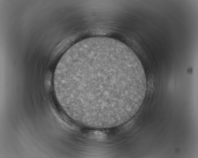 X0000114540166200911301210