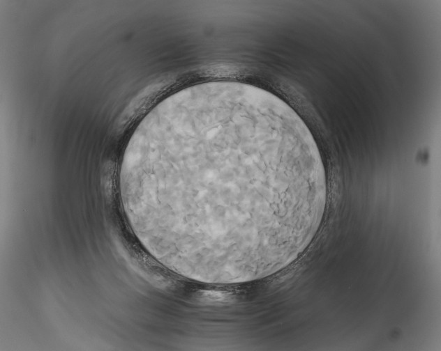 X0000114540167200911301210