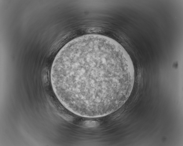 X0000114540169200911301210