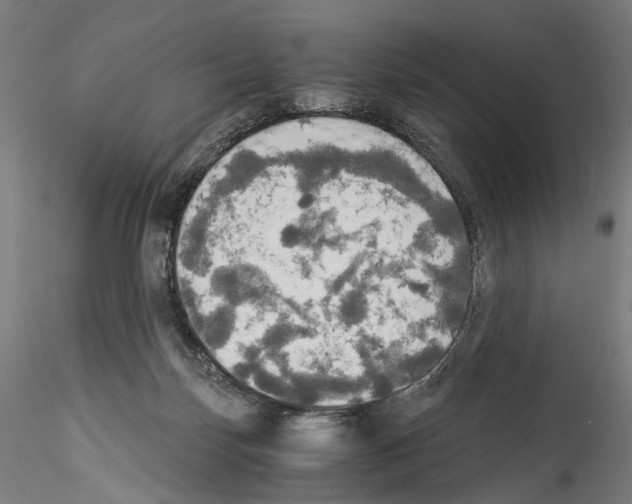 X0000114540171200911301210