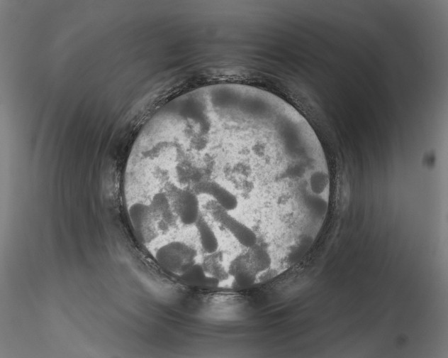 X0000114540173200911301210