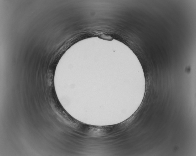 X0000114540174200911301210