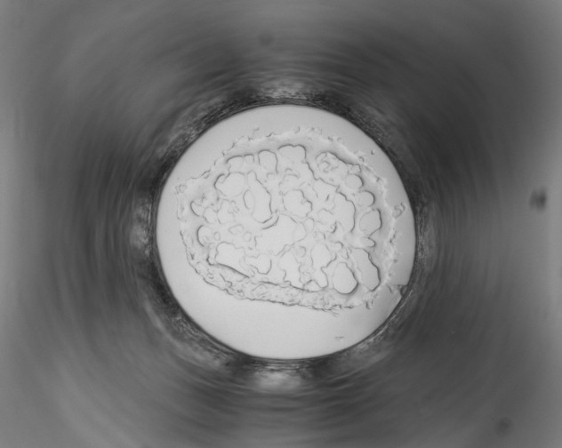 X0000114540175200911301210