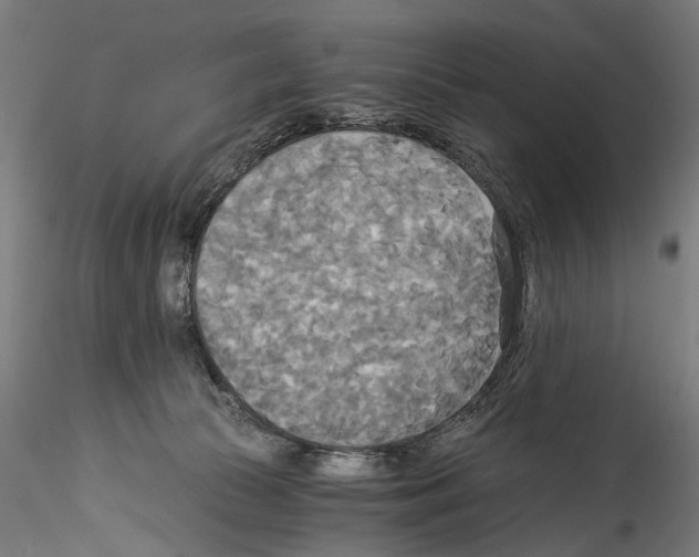 X0000114540177200911301210