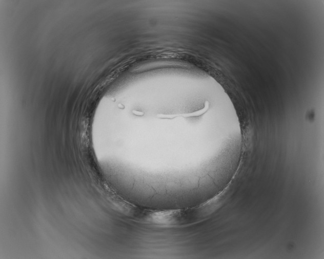 X0000114540178200911301210