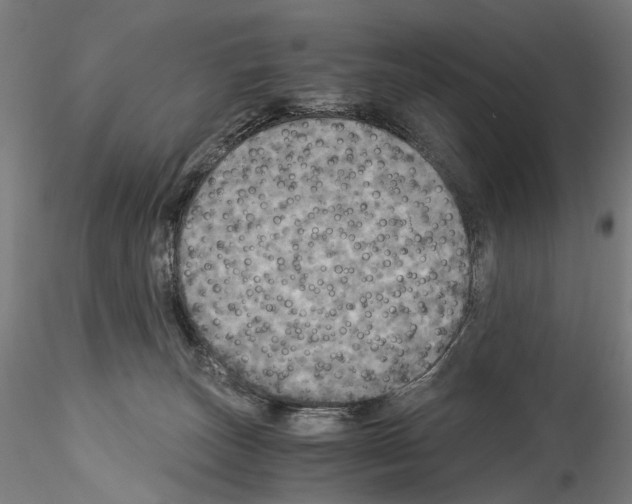 X0000114540179200911301210