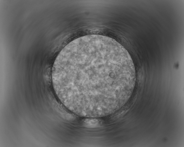 X0000114540181200911301210