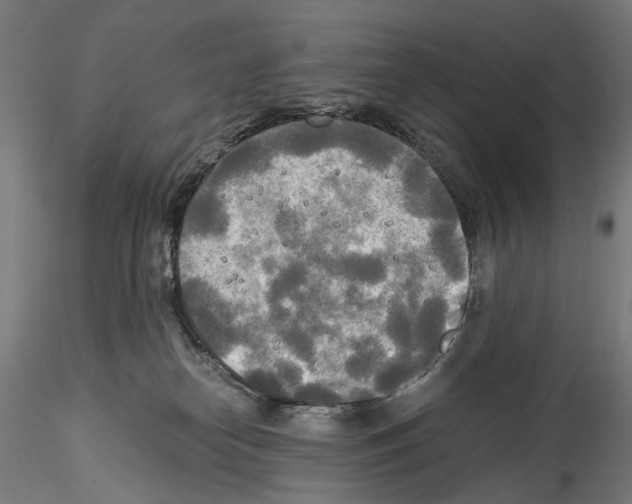 X0000114540182200911301210