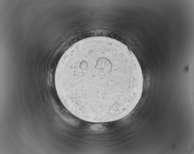 X0000114540183200911301210