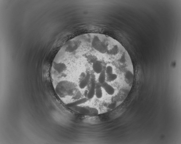 X0000114540185200911301210