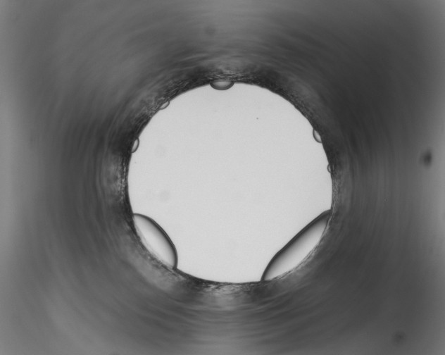 X0000114540186200911301210