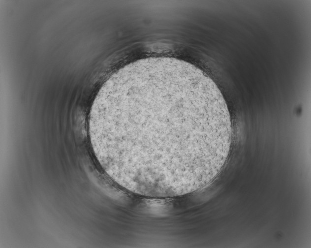 X0000114540187200911301210