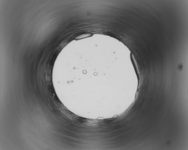 X0000114540190200911301210