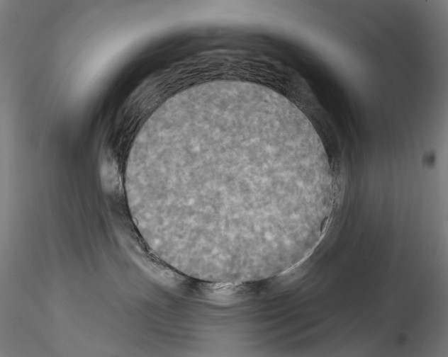 X0000114540191200911301210