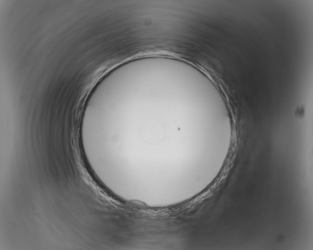 X0000114540193200911301210