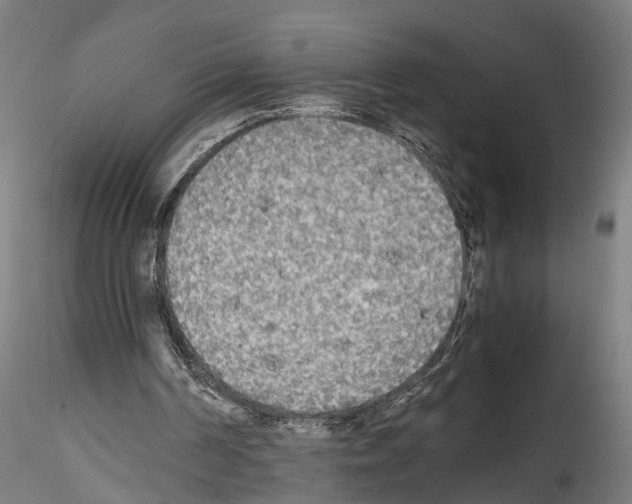 X0000114540194200911301210