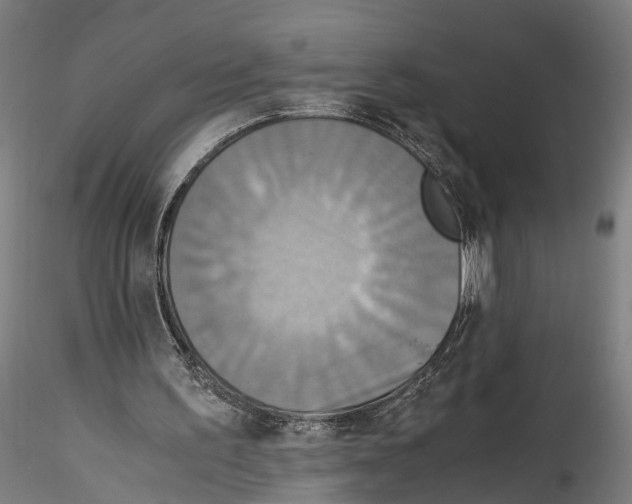 X0000114540195200911301210