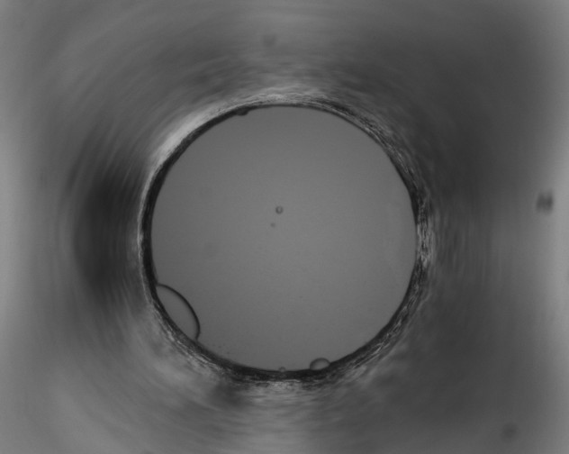 X0000114540196200911301210