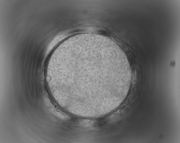 X0000114540198200911301209