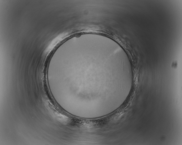 X0000114540199200911301209