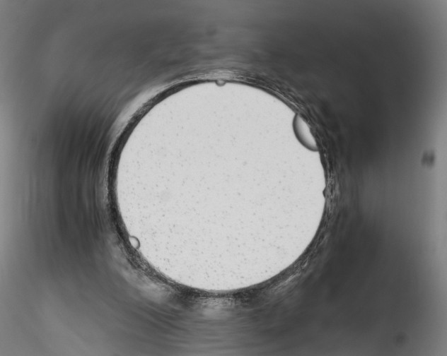 X0000114540200200911301209