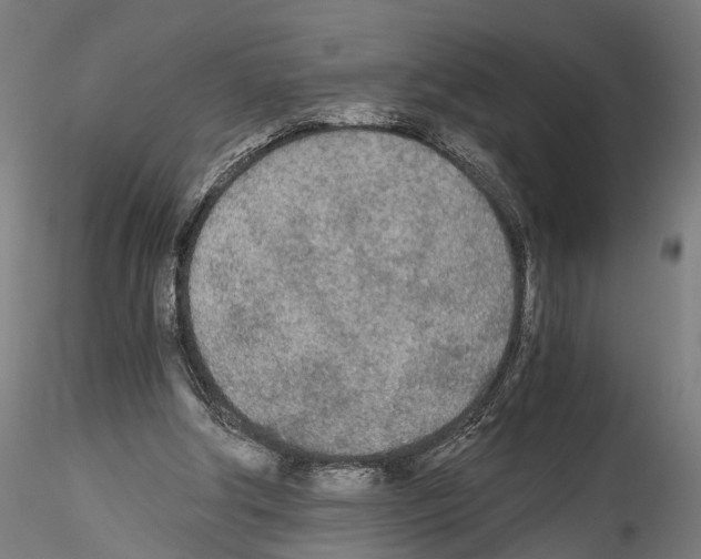 X0000114540202200911301209