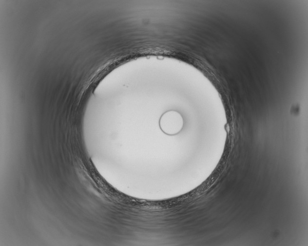 X0000114540203200911301209